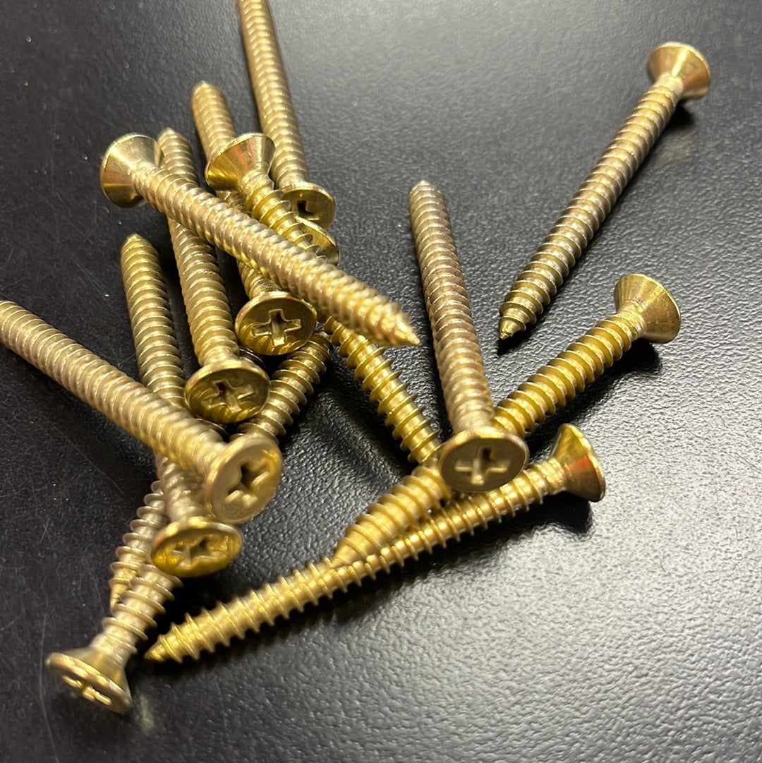 WALL MOUNT SCREWS